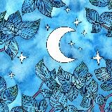 Лес тысячи звёзд