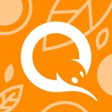 Qiwi platinum