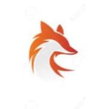 🦊 Fox bin group 🦊