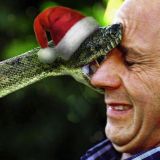 PythonNoobs