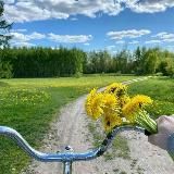 Понаехали на Кубань 193