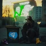TRUMP IN CRYPTO