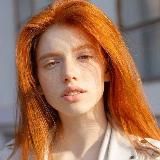 Топовые сливы курсов