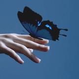 𝐄𝐌𝐈𝐋𝐈𝐘𝐀💜