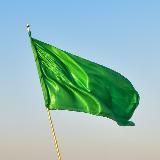 Интифада обывательской мысли