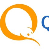 Паспортные данные РФ для идентификации киви