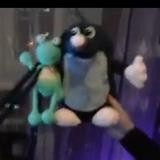 Михаил Свиридов MT