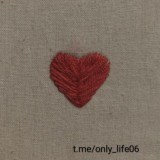 𝙾𝚗𝚕𝚢 𝚕𝚒𝚏𝚎🍃