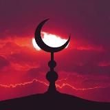 CodeCrafters | IT компания.