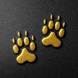 Волчьи следы