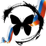 Чёрная бабочка 🔥