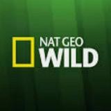 NAT GEO W1LD 🌏
