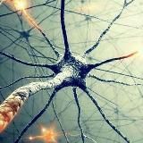 Бесполезные воспоминания Memorie inutili