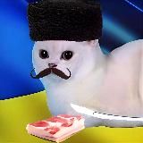 Мда