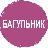 Багульник