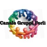 CANALE GENERALE GRUPPI FORLI - CESENA