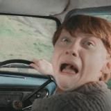 шоколадная лягушка