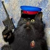 Наша История 🇷🇺