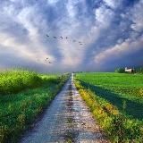 НИКА МАКАРОВСКАЯ.ПУТЬ ЯСНОСТИ.