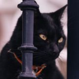 ПЕРЕЕЗД (ЗАКРЫТ)