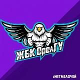 ЖБК ОрелГУ - Орлицы 🦅