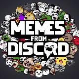 Memes from Discord
