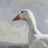 Женя Костерин | Творческая страница