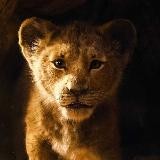 Реальное Сафари