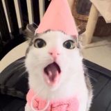 Фильмы, сериалы,