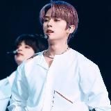 𝒓𝒆𝒔𝒕 | 𝒏𝒐 𝒕𝒊𝒎𝒆 𝒕𝒐 𝒅𝒊𝒆🥀