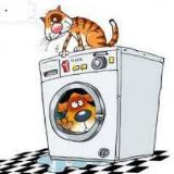 Пензенский КЛАСТЕР