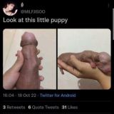 𝐠𝐚𝐜𝐡𝐚 𝐥𝐢𝐟𝐞 𝐜𝐡𝐚𝐭 ©