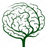 Психология