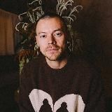 Игорь Стайлс | Гарри Стайлс