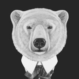 Белый Медведь💰