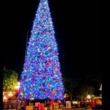 ꯭ ꯭𖢲꯭ꠋꠋ⛄꯭ꠋꠋꠋꠋꠋꠋꠋꠋꠋ🇾꯭𝖆𝖓꯭𝖌𝖎꯭꯭🇾꯭𝖎꯭𝖑⛄ꠋꠋꠋꠋꠋꠋꠋꠋꠋꠋꠋꠋꠋꠋꠋꠋꠋꠋꠋꠋꠋꠋꠋꠋꠋꠋꠋꠋꠋꠋꠋꠋꠋꠋꠋꠋ꯭𖢲ꠋꠋꠋꠋ