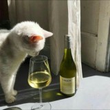 Мысли вслух